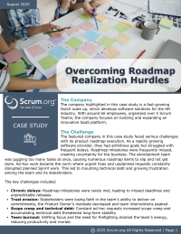 Overcoming Roadmap Realization Hurdles